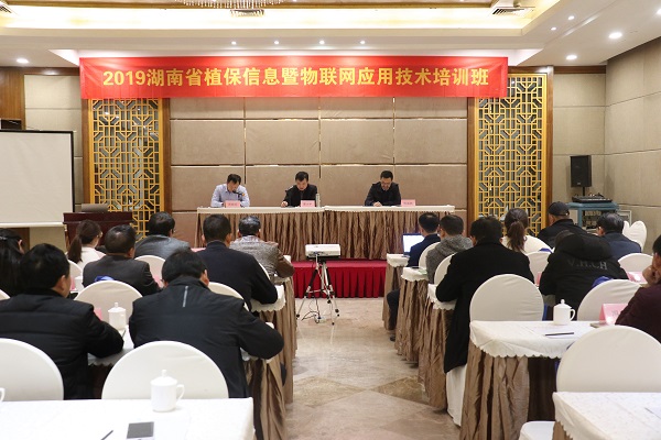 海角官网首页登录入口服务湖南省植保信息技术培训班在杭开班 海角官网首页登录入口服务湖南省植保信息技术培训班在杭开班