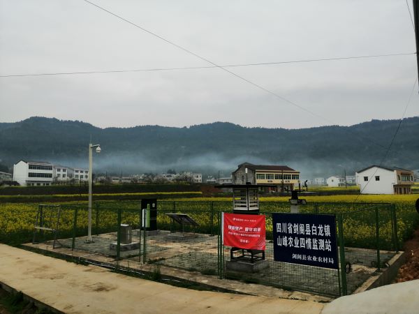 海角官网首页登录入口病虫害监测点 海角官网首页登录入口病虫害监测点