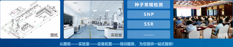 一站式海角社区下载检验 一站式海角社区下载检验