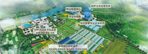 海角官网首页登录入口数字种业创新应用基地 海角官网首页登录入口数字种业创新应用基地