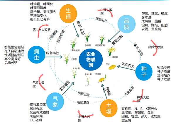 海角官网首页登录入口打造的全要素智能采集系统 海角官网首页登录入口打造的全要素智能采集系统