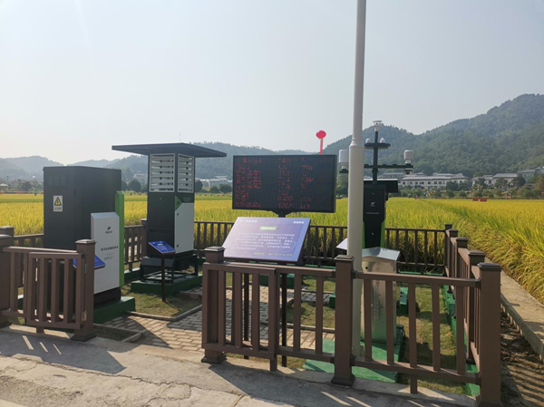 海角官网首页登录入口农作物病虫害监测点 海角官网首页登录入口农作物病虫害监测点